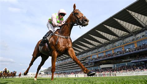 copper horse handicap trends|Copper Horse Stakes Odds Comparison 2023 .